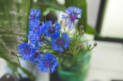 blog-04